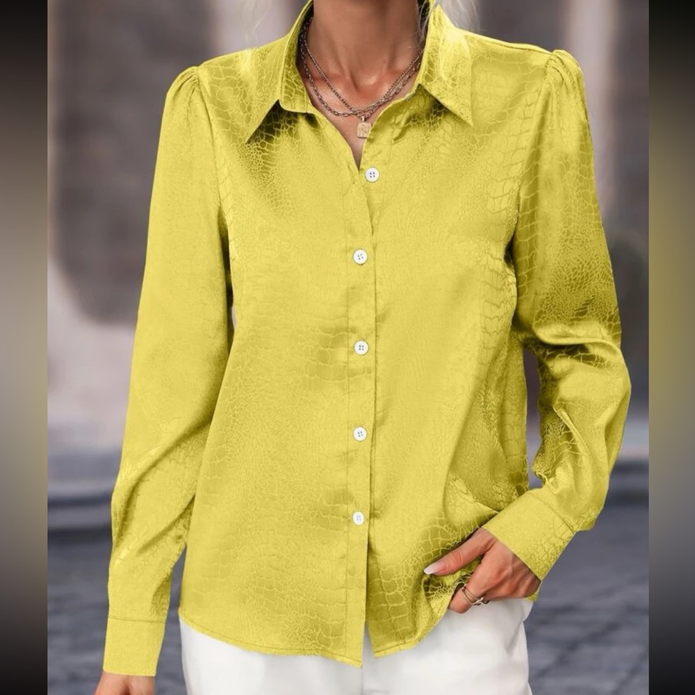 Elegant Satin Jacquard Puff Long Sleeve Button Down Shirt Top Blouse - Picture 5 of 7